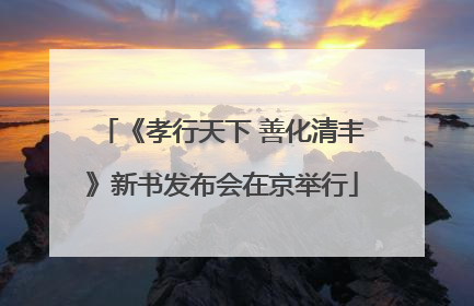 《孝行天下 善化清丰》新书发布会在京举行
