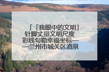 「我眼中的文明」针脚丈量文明尺度 彩线勾勒幸福坐标——兰州市城关区酒泉路街道办事处