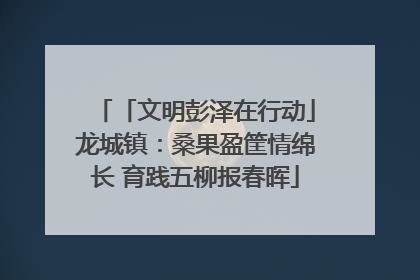 「文明彭泽在行动」龙城镇：桑果盈筐情绵长 育践五柳报春晖