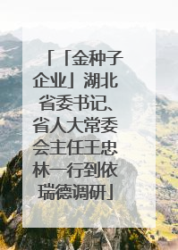 「金种子企业」湖北省委书记、省人大常委会主任王忠林一行到依瑞德调研