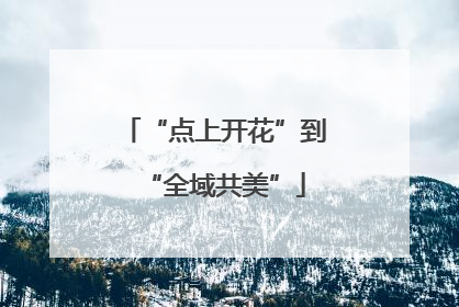“点上开花”到“全域共美”