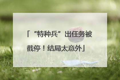 “特种兵”出任务被截停！结局太意外