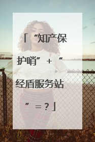 “知产保护哨”+“经盾服务站”=？