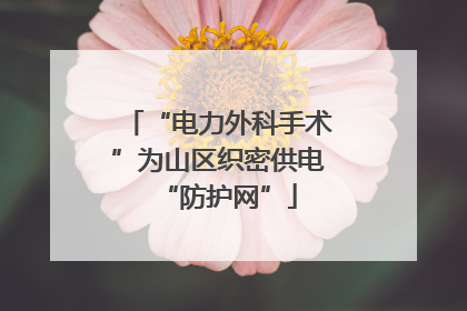 “电力外科手术”为山区织密供电“防护网”