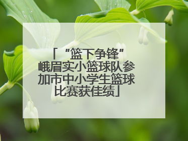 “篮下争锋” 峨眉实小篮球队参加市中小学生篮球比赛获佳绩