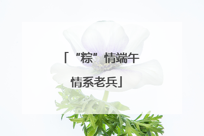 “粽”情端午 情系老兵