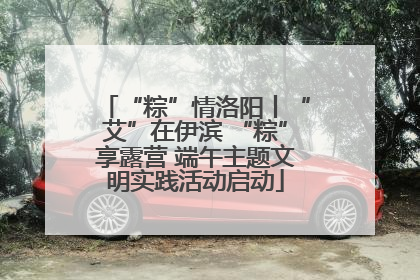 “粽”情洛阳丨“艾”在伊滨 “粽”享露营 端午主题文明实践活动启动