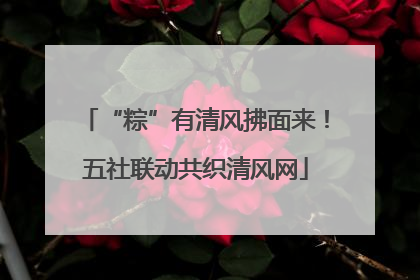 “粽”有清风拂面来！五社联动共织清风网