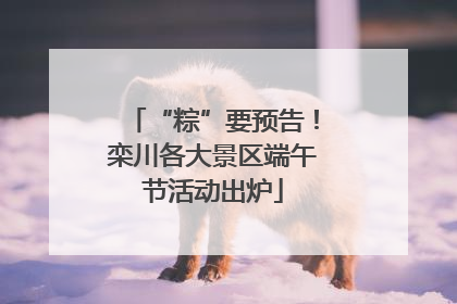 “粽”要预告！栾川各大景区端午节活动出炉
