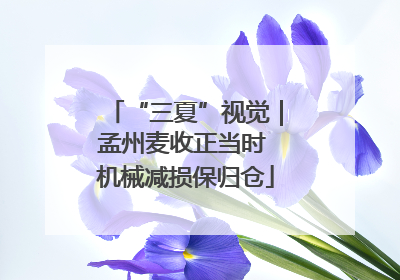 “三夏”视觉｜孟州麦收正当时 机械减损保归仓
