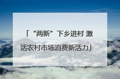 “两新”下乡进村 激活农村市场消费新活力