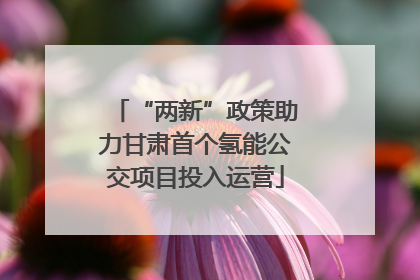 “两新”政策助力甘肃首个氢能公交项目投入运营