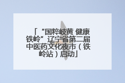 “国粹岐黄 健康铁岭”辽宁省第二届中医药文化夜市（铁岭站）启动