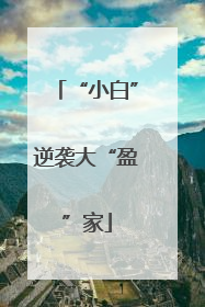 “小白”逆袭大“盈”家