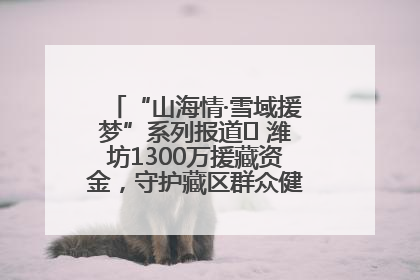 “山海情·雪域援梦”系列报道⑪ 潍坊1300万援藏资金，守护藏区群众健康“最后一公里”