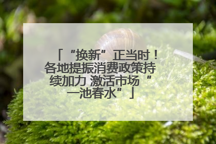 “换新”正当时！各地提振消费政策持续加力 激活市场“一池春水”
