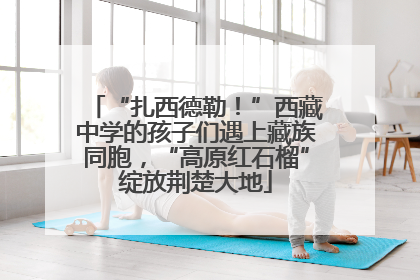 “扎西德勒！”西藏中学的孩子们遇上藏族同胞，“高原红石榴”绽放荆楚大地