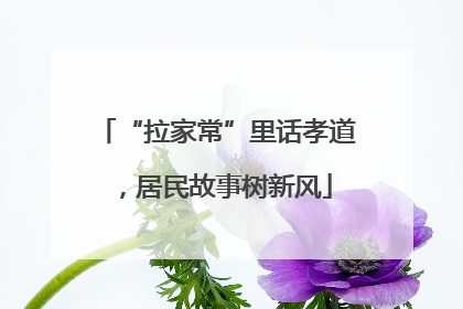 “拉家常”里话孝道，居民故事树新风