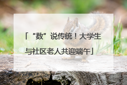 “数”说传统！大学生与社区老人共迎端午