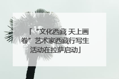 “文化西藏 天上画卷”艺术家西藏行写生活动在拉萨启动