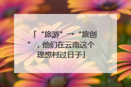 “旅游”→“旅创”，他们在云南这个理想村过日子