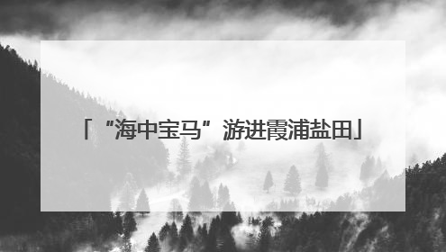 “海中宝马”游进霞浦盐田