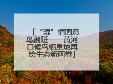 “湿”情画意鸟翩跹——黄河口候鸟栖息地再绘生态新画卷