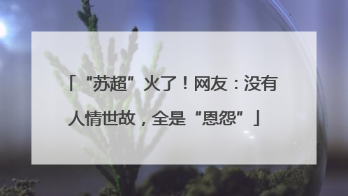 “苏超”火了！网友：没有人情世故，全是“恩怨”
