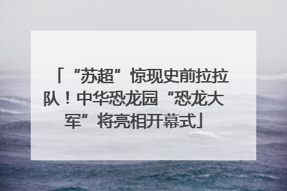 “苏超”惊现史前拉拉队！中华恐龙园“恐龙大军”将亮相开幕式