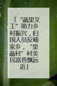 “蔬果义工”助力乡村振兴，归国人员反哺家乡，“果蔬村”村美民富香飘远近