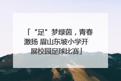 “足”梦绿茵，青春激扬 眉山东坡小学开展校园足球比赛