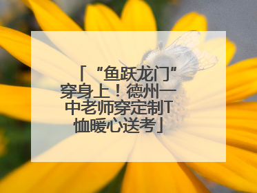 “鱼跃龙门”穿身上！德州一中老师穿定制T恤暖心送考