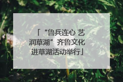 “鲁兵连心 艺润草湖”齐鲁文化进草湖活动举行