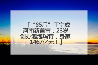 “85后”王宁成河南新首富，23岁创办泡泡玛特，身家1467亿元！