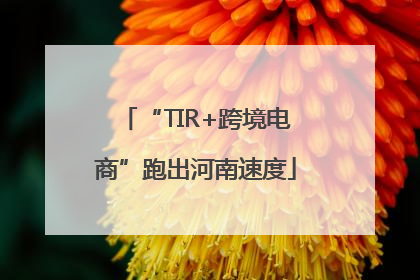 “TIR+跨境电商”跑出河南速度