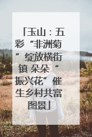 玉山：五彩“非洲菊”绽放横街镇 朵朵“振兴花”催生乡村共富图景