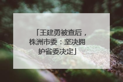 王建勇被查后，株洲市委：坚决拥护省委决定