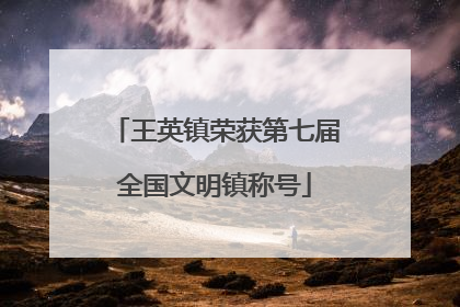王英镇荣获第七届全国文明镇称号