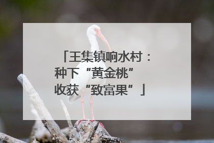 王集镇响水村：种下“黄金桃” 收获“致富果”
