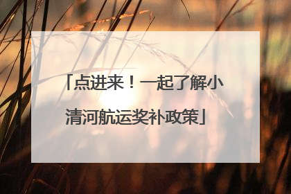 点进来！一起了解小清河航运奖补政策