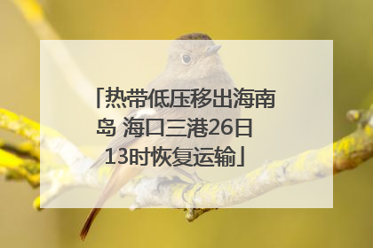 热带低压移出海南岛 海口三港26日13时恢复运输