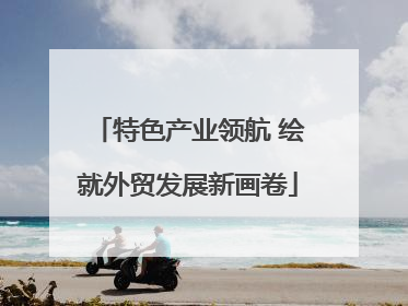 特色产业领航 绘就外贸发展新画卷