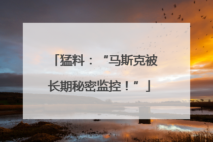 猛料：“马斯克被长期秘密监控！”