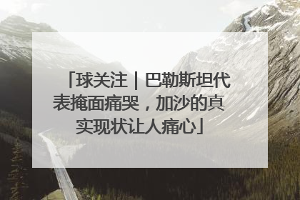 球关注｜巴勒斯坦代表掩面痛哭，加沙的真实现状让人痛心