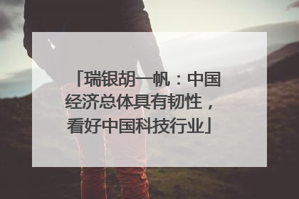 瑞银胡一帆：中国经济总体具有韧性，看好中国科技行业