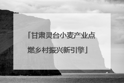 甘肃灵台小麦产业点燃乡村振兴新引擎