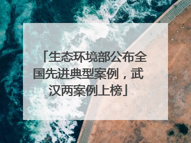 生态环境部公布全国先进典型案例，武汉两案例上榜