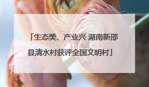 生态美、产业兴 湖南新邵县清水村获评全国文明村