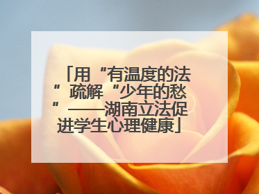用“有温度的法”疏解“少年的愁”——湖南立法促进学生心理健康