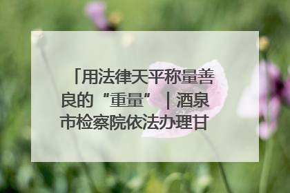用法律天平称量善良的“重量”｜酒泉市检察院依法办理甘肃首例社区矫正对象见义勇为减刑案